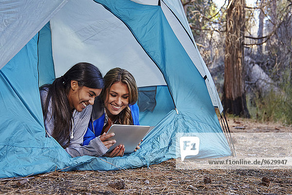 Zwei junge Frauen  die im Zelt liegen und auf ein digitales Tablett im Wald schauen  Los Angeles  Kalifornien  USA