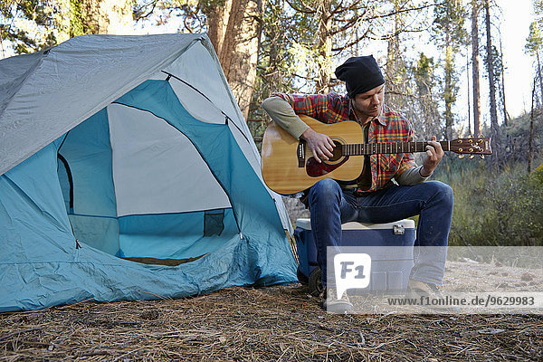 Young male camper playing guitar in forest  Los Angeles  California  USA