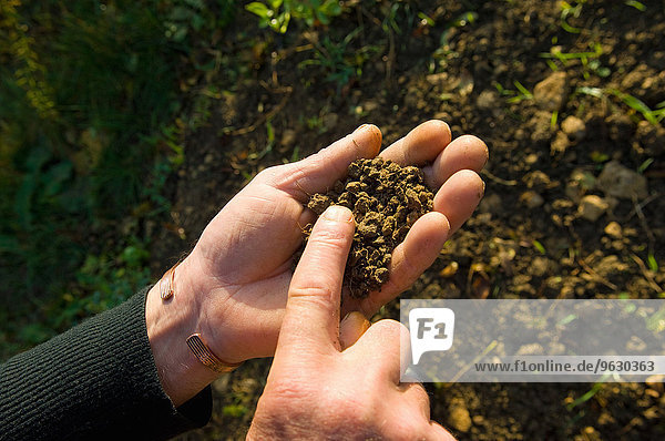 Hand of farmer holding and monitoring soil in field