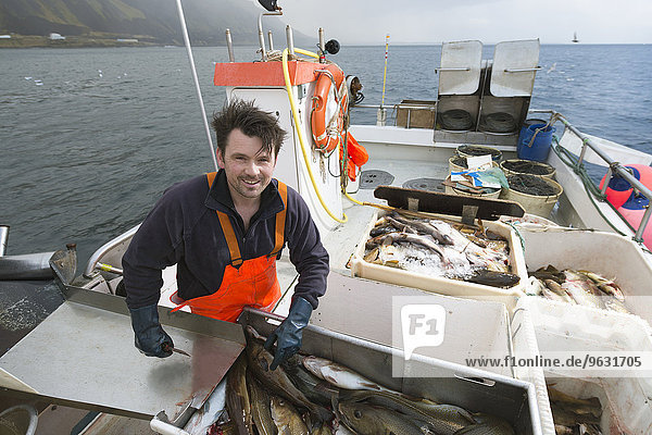 Fisherman gutting fish on boat