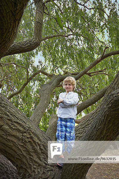 Porträt des Jungen im Waldbaum stehend