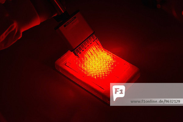 Krebsforschungslabor  Photodynamische Therapie  Photochemotherapie  Hand des Wissenschaftlers mit lichtempfindlichen Medikamenten zur Behandlung von Krebszellen