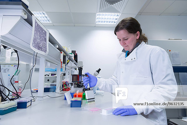 Cancer research laboratory  female scientist dispensing cells using an electronic pipette