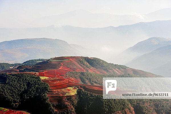 Terrassenfelder  Yunnan  China.