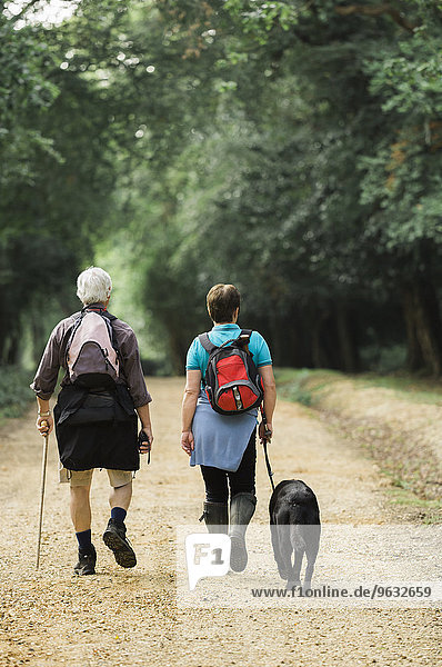 A mature couple hiking with their dog.