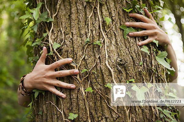 umarmen Menschliche Hand Menschliche Hände Baum Mensch Eiche Brotaufstrich