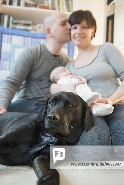 Family with baby boy and dog