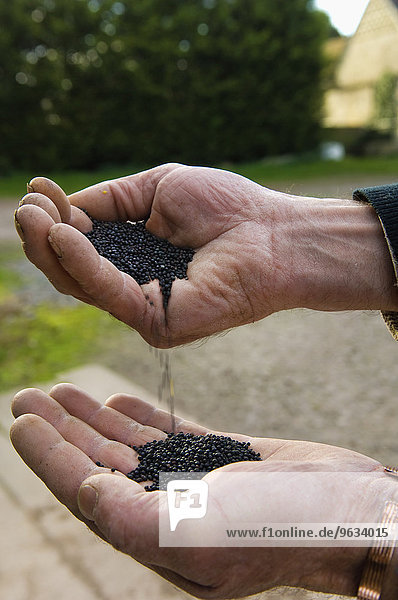 Mann eingießen einschenken Close-up 1 Samen Öl