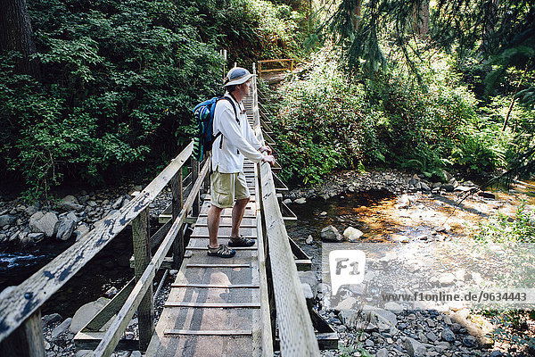 Man walking across small foot bridge in lush temperate rainforest in Oregon