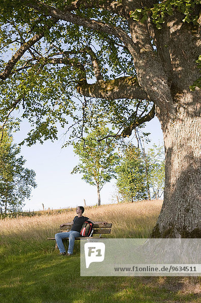 Mature man resting under oak tree in Bavarian Forest