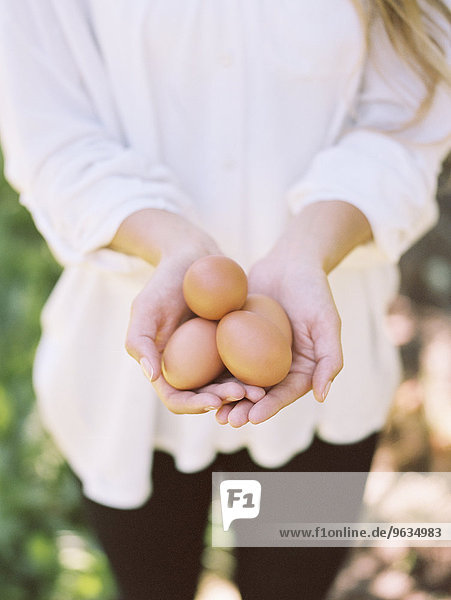 An apple orchard in Utah. Woman holding fresh eggs.