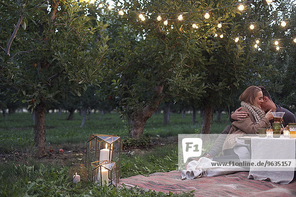 An apple orchard in Utah. Couple sitting on the ground  embracing  food and drink on a table.