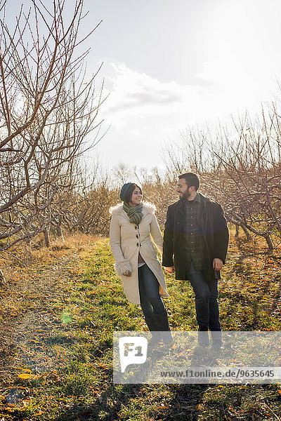 Two people  a couple walking in an orchard in winter.