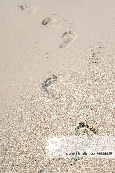Footprints in sand on the beach