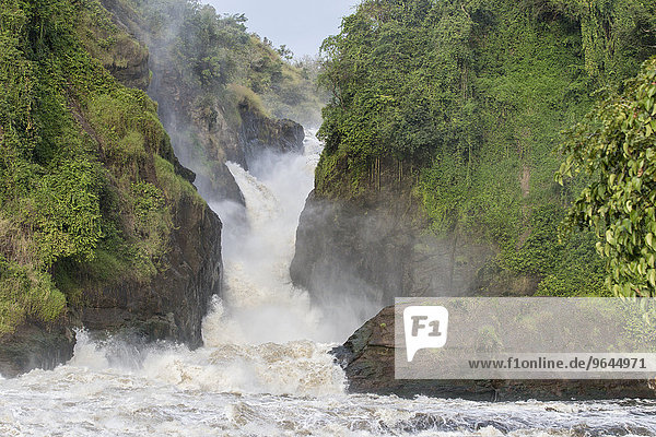 Murchison Falls  Murchison-Falls-Nationalpark  Uganda  Afrika
