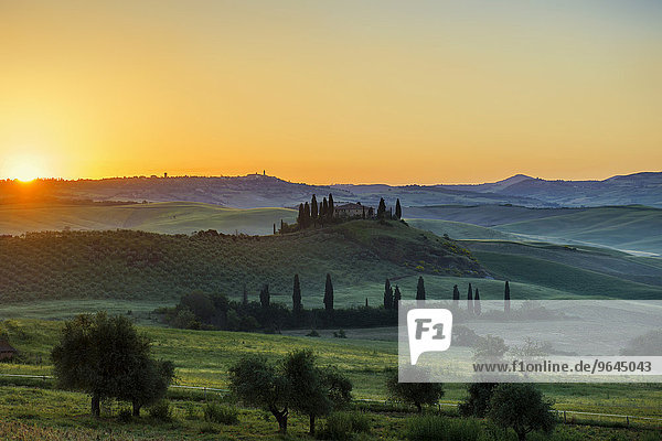 Sonnenaufgang  Landschaft mit Landhaus und Zypressen  bei San Quirico d'Orcia  Val d'Orcia  Provinz Siena  Toskana  Italien  Europa