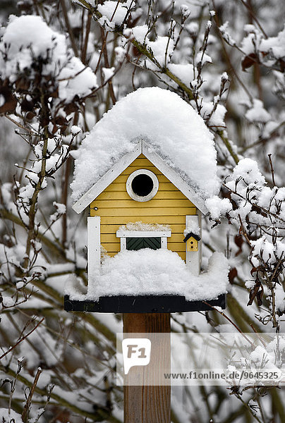 Snow-covered bird house in winter