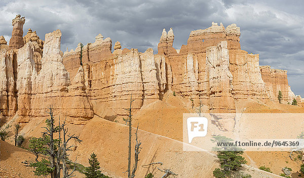 Felsszenerie vom Navajo Loop Trail  Bryce-Canyon-Nationalpark  Bryce  Utah  USA  Nordamerika