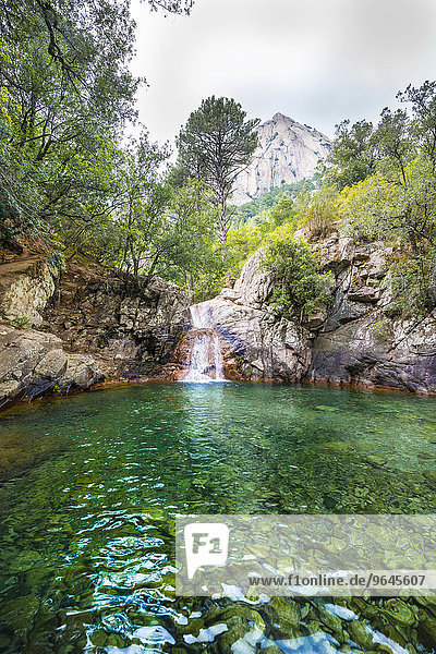 Oberer Flusslauf der Solenzara  große Gumpe mit Wasserfall im Wald  Korsika  Frankreich  Europa