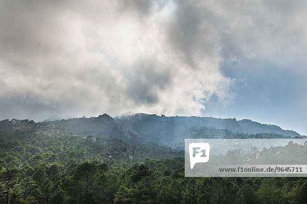 Berglandschaft und dramatische Wolken  Alta Rocca  l?Ospédale  Korsika  Frankreich  Europa