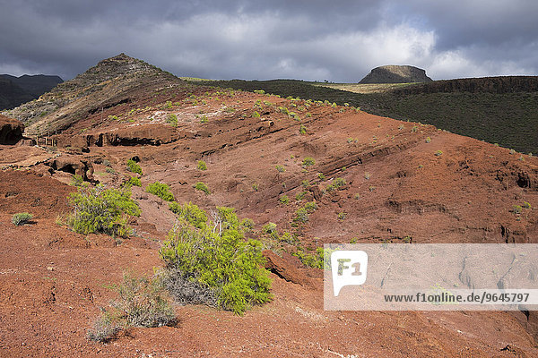 Rotes vulkanisches Gestein am Wanderweg Sendero Quise  Alajeró  La Gomera  Kanarische Inseln  Spanien  Europa