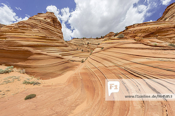 Rock formations of the Teepees South Coyote Butt Marble Canyon Arizona United States North America