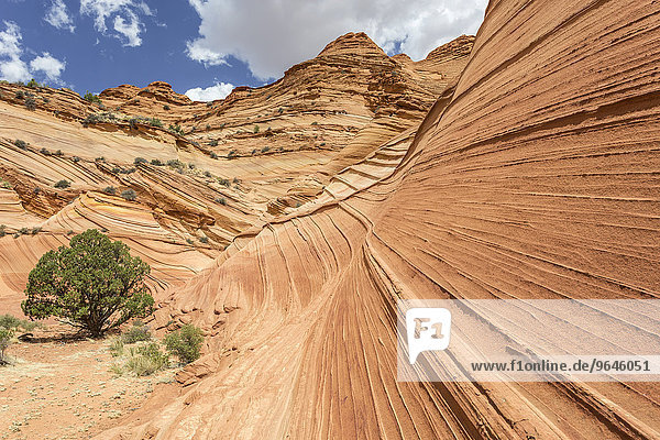 Rock formations of the Teepees South Coyote Butt Marble Canyon Arizona United States North America