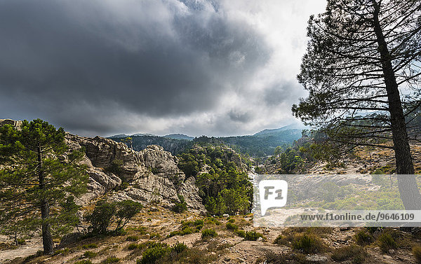 Berglandschaft mit Fluss  Alta Rocca  l?Ospédale  Korsika  Frankreich  Europa