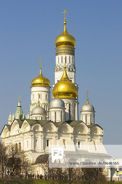 Erzengel-Michael-Kathedrale mit dem Glockenturm von Iwan dem Großen  Moskauer Kreml  Moskau  Russland  Europa