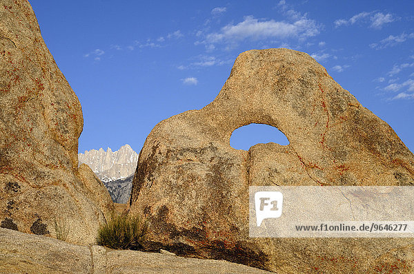 Sharktooth Arch  Steinbogen aus Granit  dahinter Mt. Whitney  Alabama Hills  Kalifornien  USA  Nordamerika