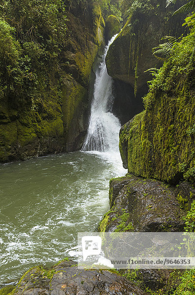 Wasserfall  moosbewachsene Felsen  Rio Savegre  Nationalpark Los Quetzales  San Gerardo de Dota  Provinz San Jose  Costa Rica  Nordamerika