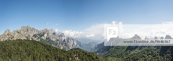 Panorama  Blick über ein Tal  Bergflanken mit felsigen Bergspitzen umgeben von Kiefern Wald  Klippen  Col de Bavella  Bavella-Massiv  Korsika  Frankreich  Europa