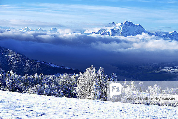 Mt. Pilatus in winter landscape with Lake Zug in the foreground  Zugerberg  Canton of train  Switzerland  Europe