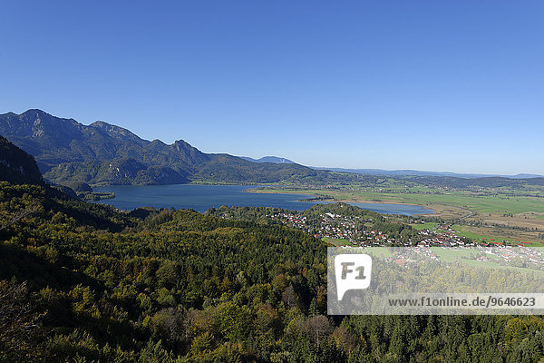 Auf dem Stutzenstein über Kochel am See  Loisachtal  Oberbayern  Bayern  Deutschland  Europa
