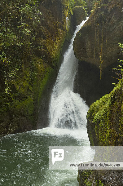 Wasserfall  Felsen  Rio Savegre  Nationalpark Los Quetzales  San Gerardo de Dota  Provinz San Jose  Costa Rica  Nordamerika