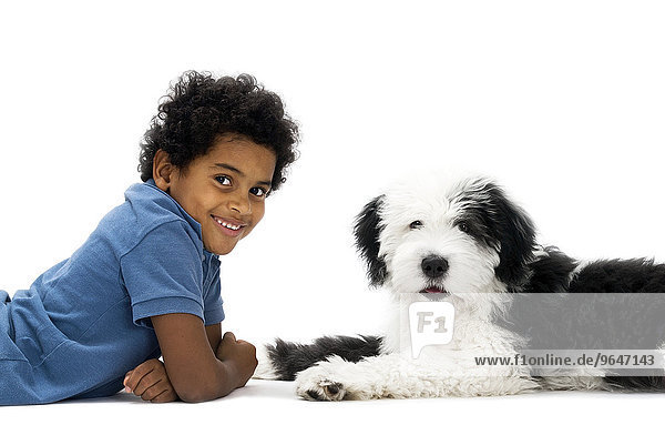 Junge  8 Jahre  mit einem Bobtail  Old English Sheepdog  Junghund  4 Monate