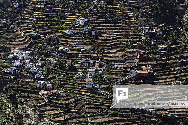 Ausblick vom Mirador Cesar Manrique auf Terrassenfelder und Häuser von Hornillo  Valle Gran Rey  La Gomera  Kanarische Inseln  Spanien  Europa