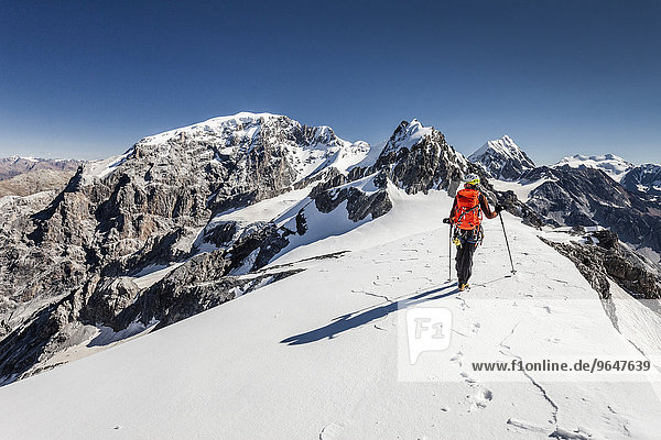 Climber on the Trafoierjoch on Stelvio Pass  behind the Ortler  Thurwieser  the Königspitze and the Monte Cevedale  Trafoiertal  Ortler Alps  Ortler region  Stelvio National Park  Province of South Tyrol  region of Trentino-Alto Adige  Italy  Europe