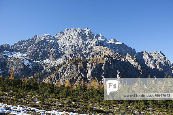 Wimbachtal mit Hochkaltergebirge  Hochkalter  Wimbachgries  Nationalpark Berchtesgaden  Berchtesgadener Land  Bayern  Deutschland  Europa
