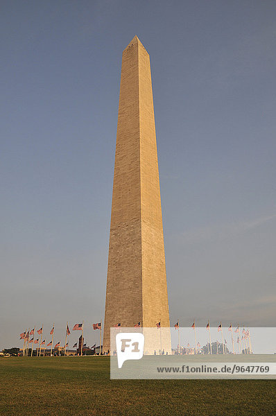 Washington Monument und Flaggen der Vereinigten Staaten  Washington DC  USA  Nordamerika