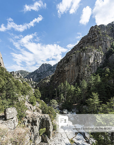 Flussbett des Tavignano  Corte  Département Haute-Corse  Korsika  Frankreich  Europa