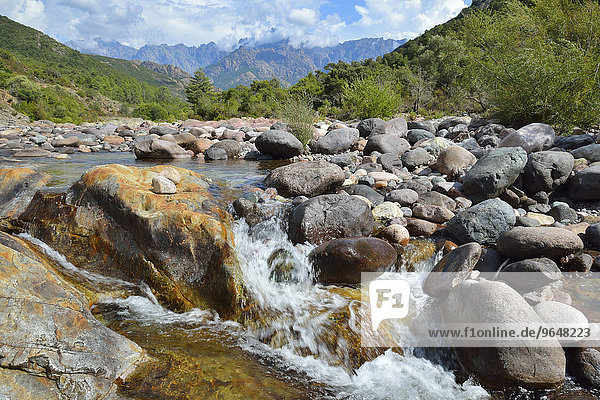 Landschaft am Fluß Fango  Fangotal  Haute-Corse  Korsika  Frankreich  Europa