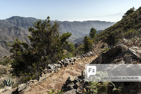 Hiking trail from the Mirador Degollada de Paraza to La Laja  La Gomera  Canary Islands  Spain  Europe