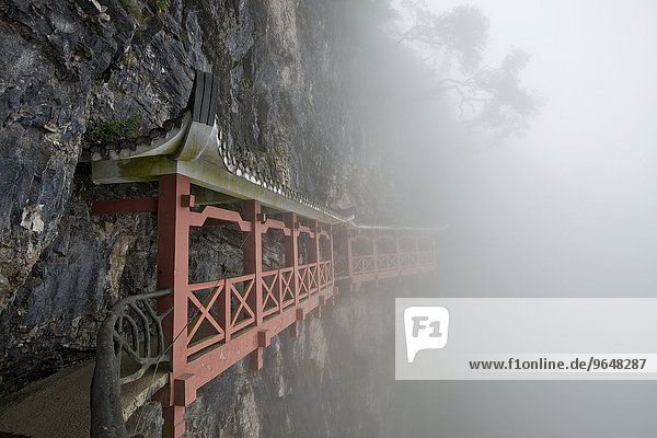 Covered hiking trail on a cliff in fog  Tianmen Mountain  Tianmen Mountain National Park  Yongding  Zhangjiajie  China  Asia