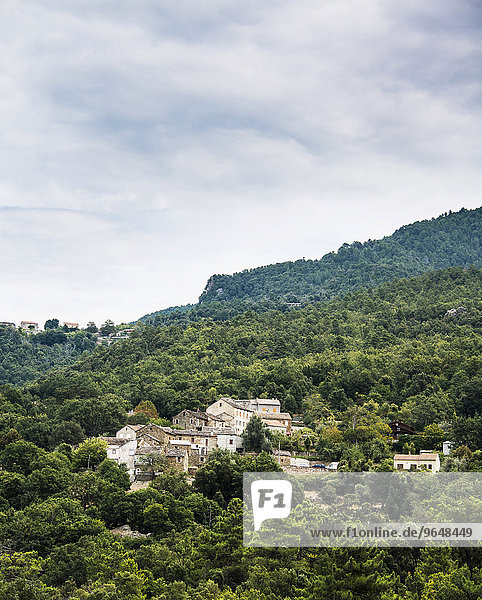 Kleines Bergdorf im Wald  Valle-di-Rostino  Haute-Corse  Korsika  Frankreich  Europa