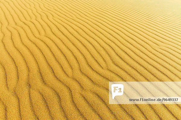 Wellenmuster im Sand  Namibwüste  Namibia  Afrika