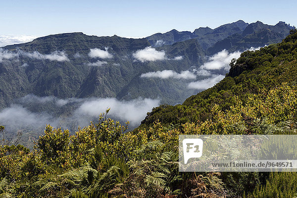 Ausblick auf die Bergwelt des Parque Natural da Madeira  Madeira  Portugal  Europa
