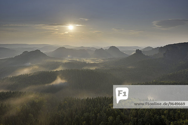 Nebelschwaden zum Sonnenaufgang  Morgenstimmung im Elbsandsteingebirge  Sächsische Schweiz  Sachsen  Deutschland  Europa