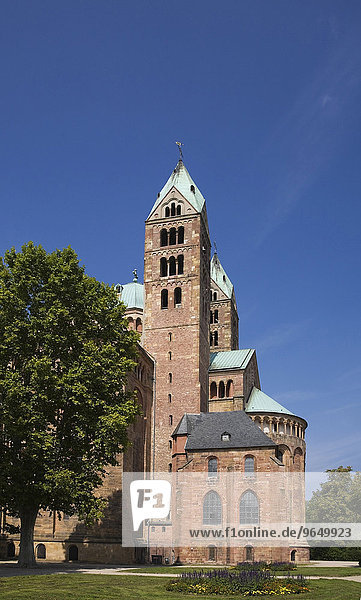 Dom zu Speyer,  Speyer,  Rheinland-Pfalz,  Deutschland,  Europa