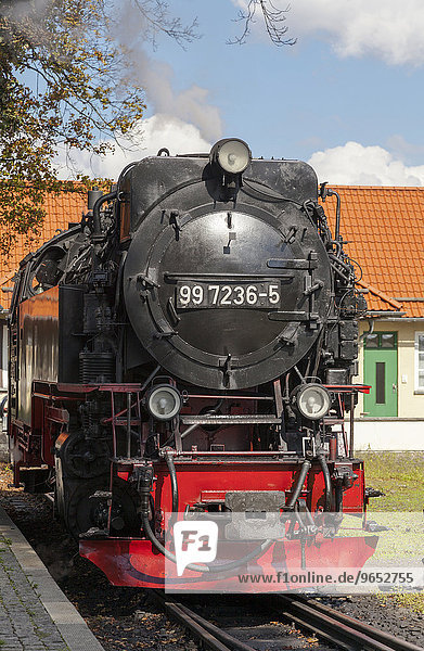 Dampflok der Harzer Schmalspurbahn  Brockenbahn  im Bahnhof  Wernigerode  Sachsen-Anhalt  Deutschland  Europa